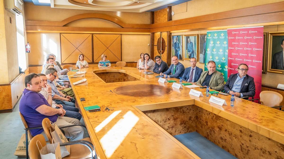 Presentación de "Agendados", este miércoles, en la Cámara de Comercio de Oviedo.