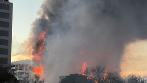 El foc de València es va originar en un electrodomèstic de la cuina