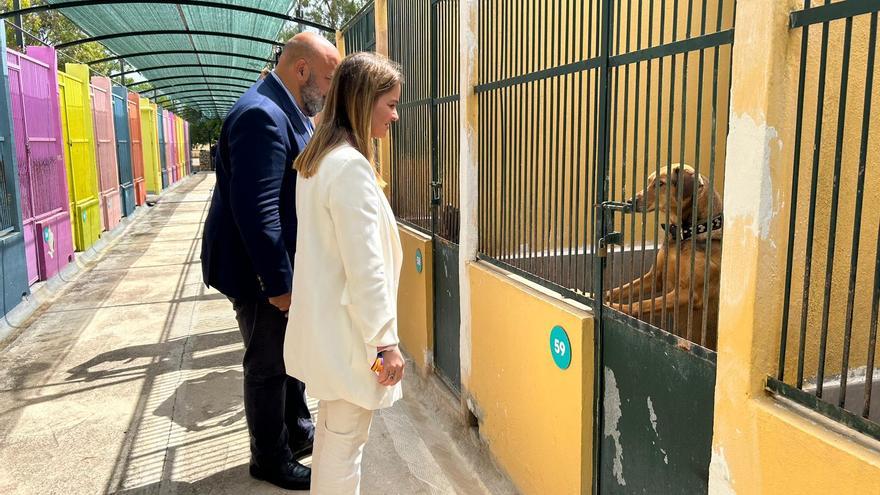 Prohens justifica que se presente al proceso para estabilizar su plaza en el ayuntamiento de Palma