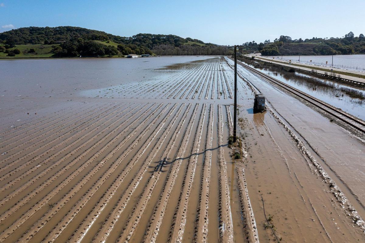 Campos inundados en Pájaro (California) debido al paso de un río atmosférico