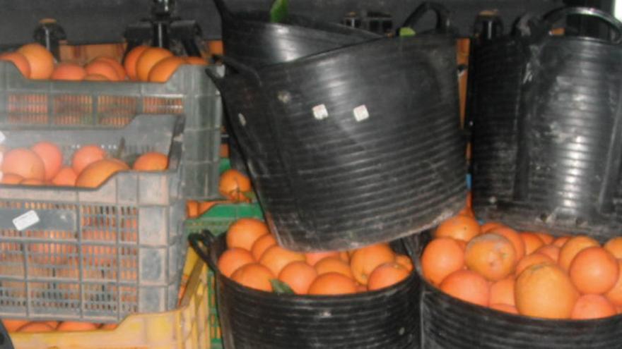 Cinco detenidos por robar 1.200 kilos de naranjas