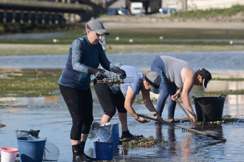 El marisqueo regresa a la ría de Pontevedra tras cuatro meses de parón