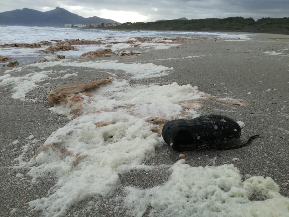 Eine dicke weiße Schaumschicht hat am Sonntag (3.12.) den Strand von Son Serra de Marina bedeckt.  Viele Anwohner und Besucher befürchteten zunächst eine Art Wasserverschmutzung. Von der MZ-Schwesterzeitung befragte Fachleute halten das Phänomen jedoch für eine natürliche Folge der Unwetter der vergangenen Tage.