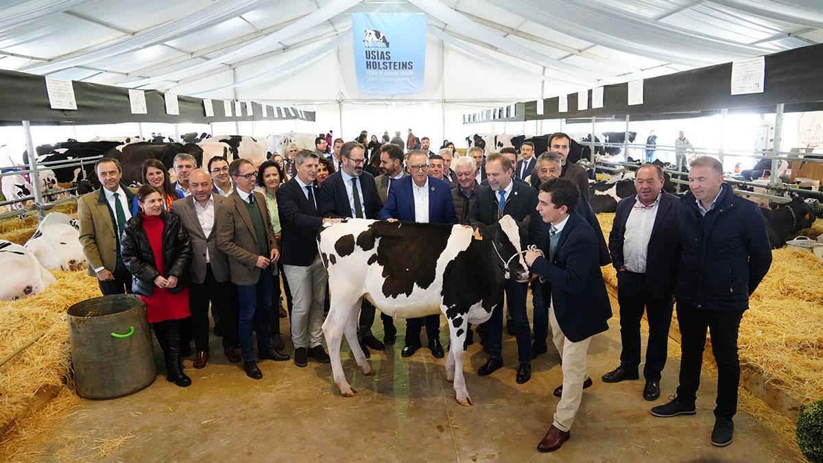 Abre la feria de vacuno de leche Usías Holsteins de  Dos Torres