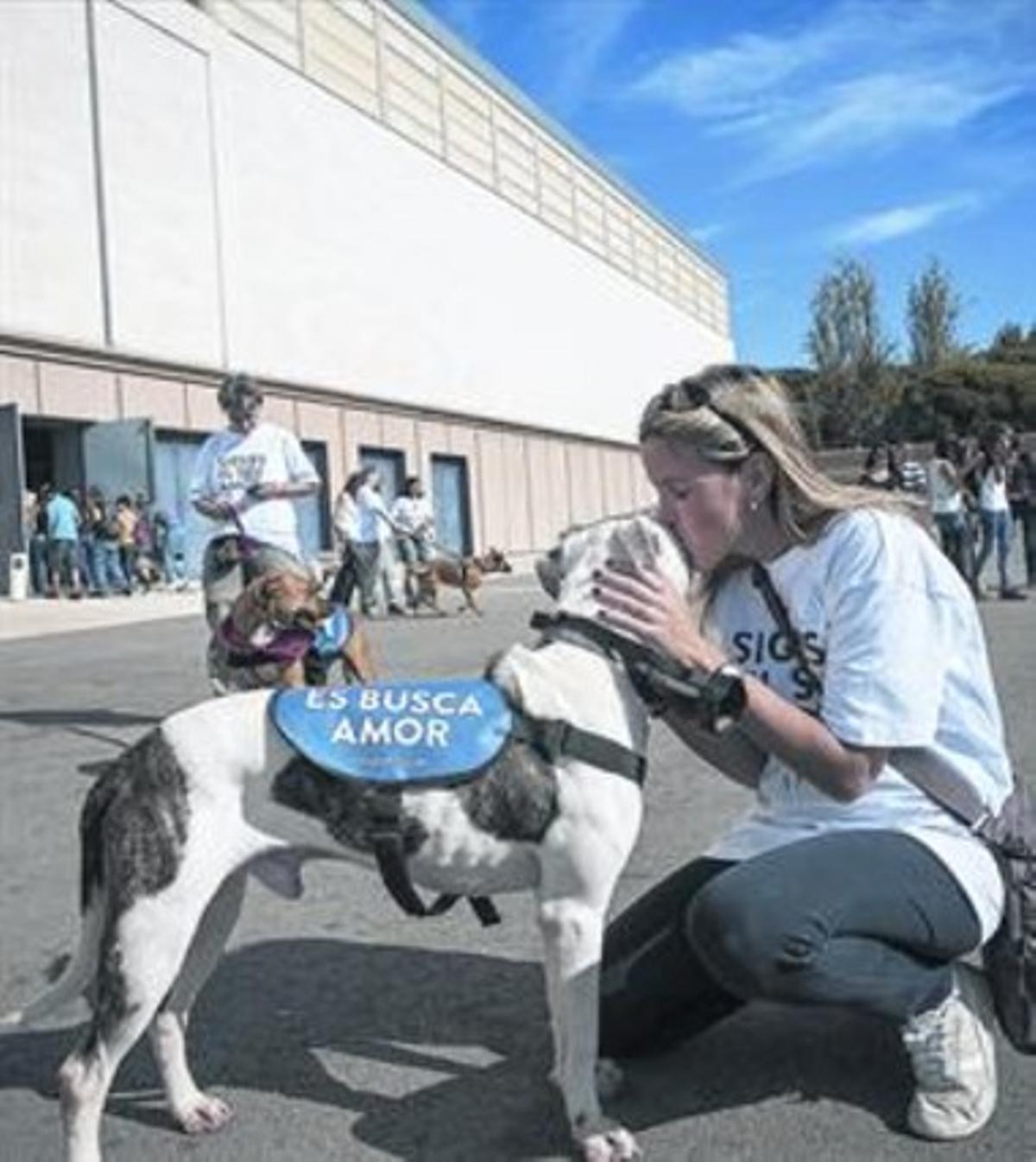 Gossos de diferents races que s’exhibien ahir per ser adoptats al Saló Animaladda, a Montjuïc. Gossos de diferents races que s’exhibien ahir per ser adoptats al Saló Animaladda, a Montjuïc.