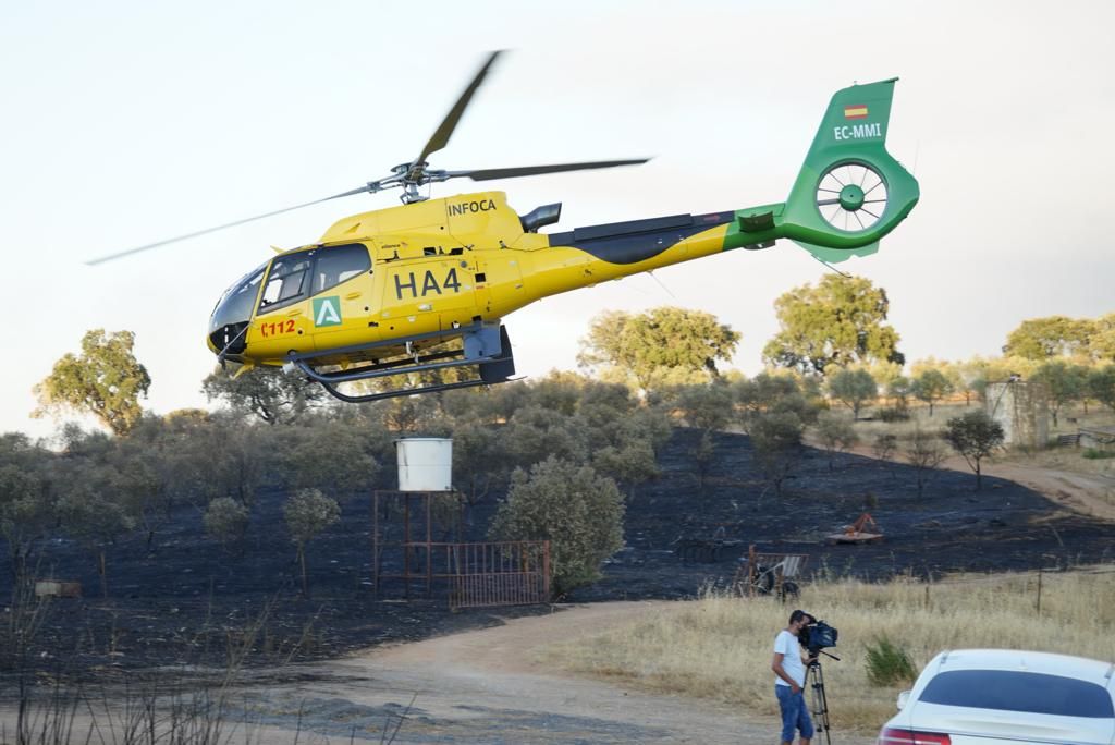 Incendio forestal en en el puerto del Calatraveño