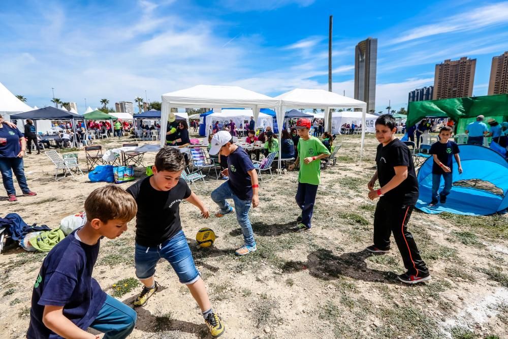 El "Día de La Mona" congrega a más de 125 peñas y 3.000 festeros en Benidorm.