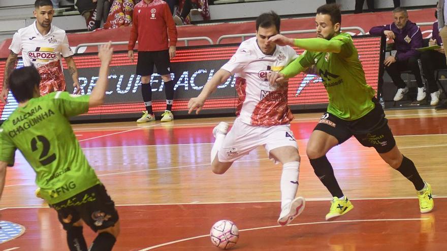 ElPozo vuelve  a dar un paso atrás en el Palacio ante Palma Futsal