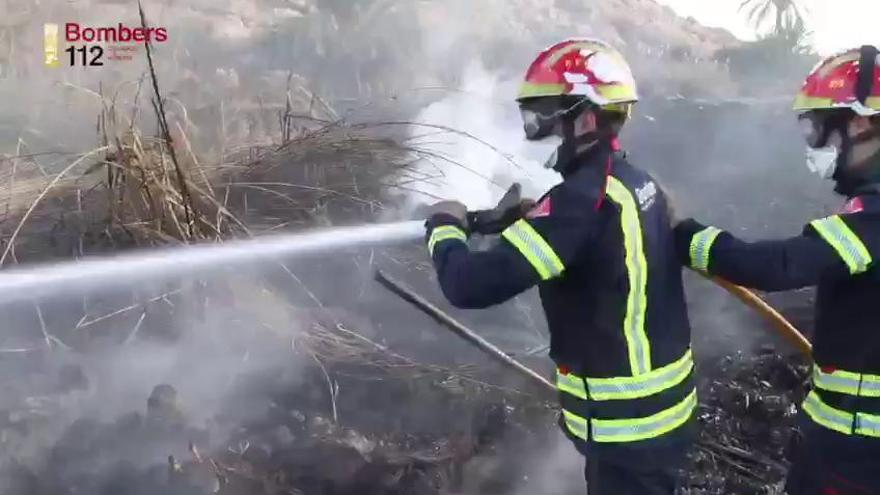 Un incendio calcina cuatro hectáreas en San Isidro