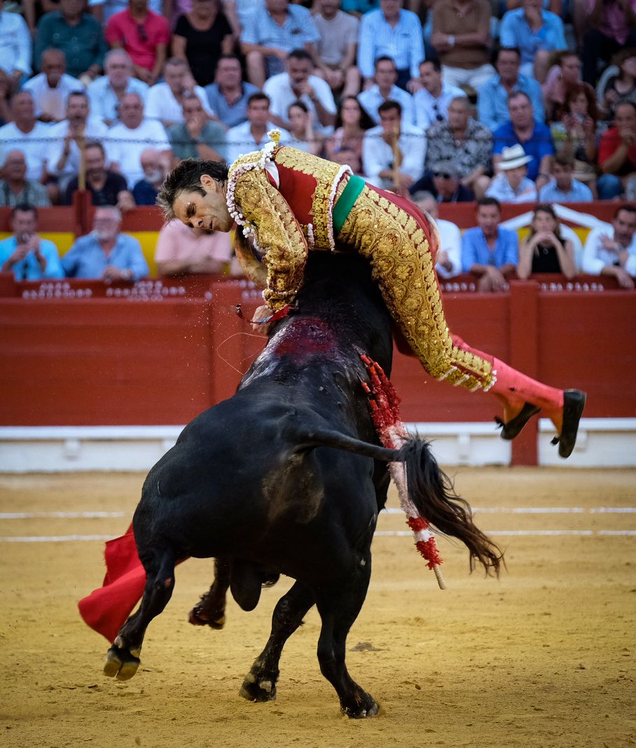 La tauromaquia de José Tomás en Alicante, en imágenes