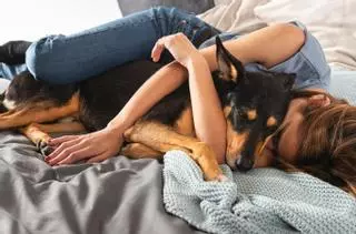 Adiós a dormir con tu perro: estás son las tres enfermedades que puedes coger según los expertos