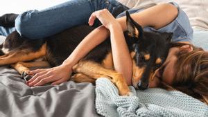 Adiós a dormir con tu perro: estás son las tres enfermedades que puedes coger según los expertos