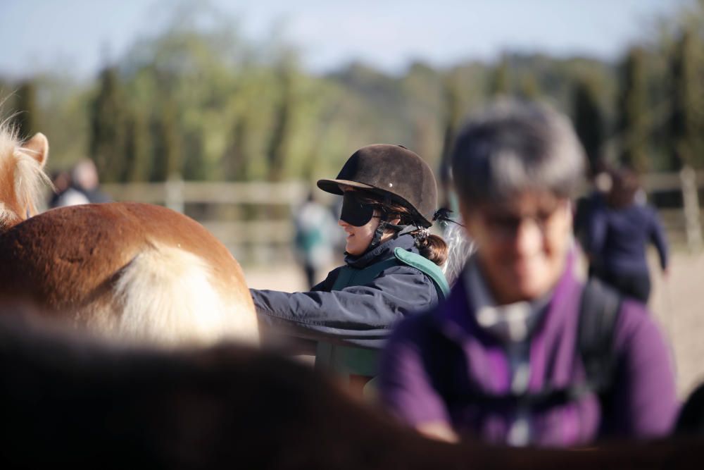 Großeltern und Enkel auf dem Pferd