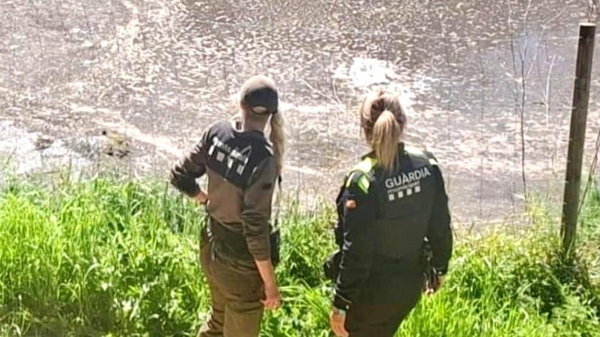 Agents Rurals i Guàrdia Municipal de Sant Salvador van inspeccionar la riera