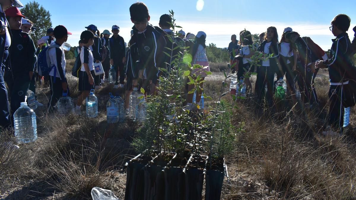 Una de las últimas plantaciones de Bosque O2 con escolares del municipio.