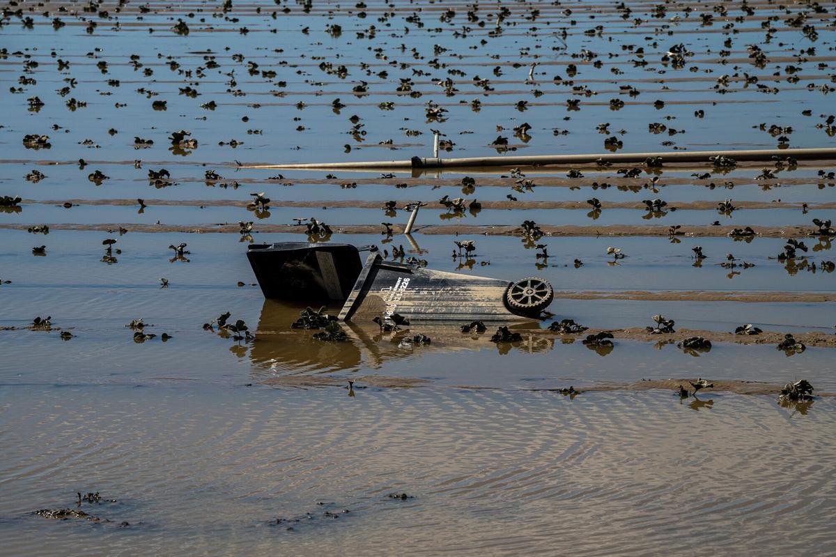 Campos inundados en Pájaro (California) debido al paso de un río atmosférico