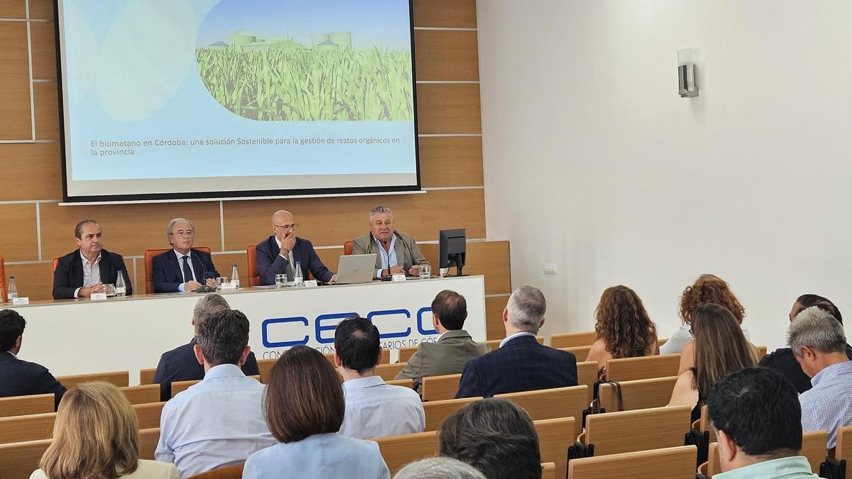 La Junta Directiva aborda los proyectos de inversión en bioenergía en la provincia de Córdoba.