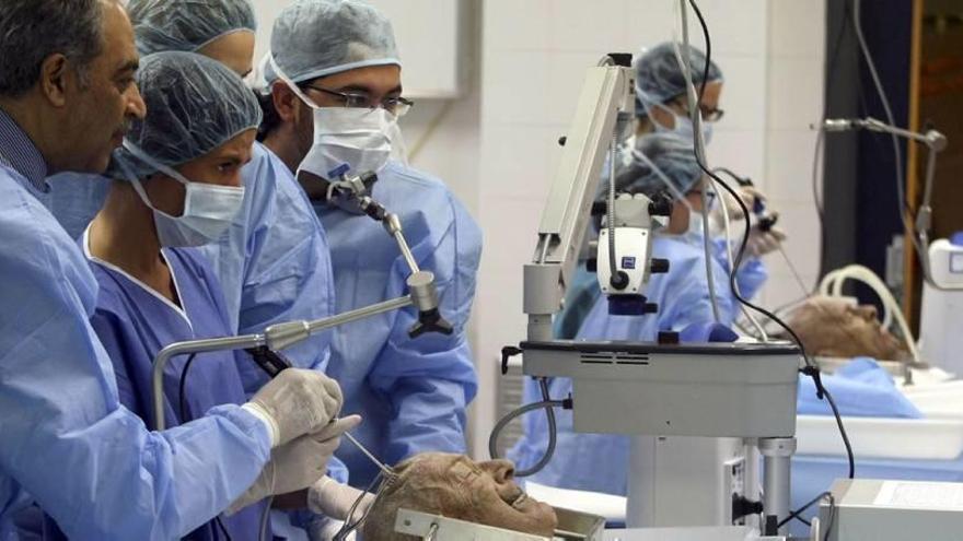 Varios alumnos aprenden en un curso una técnica de endoscopia en cirugía intracraneal.