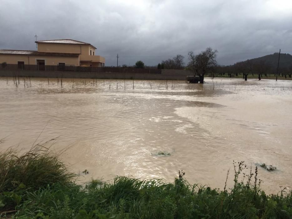 Los estragos del temporal en Mallorca