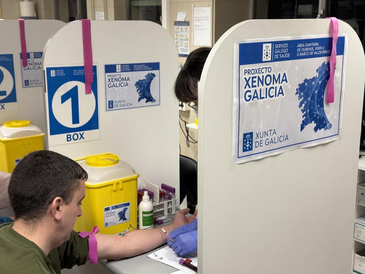 Extraen sangre a un participante en el proyecto Xenoma Galicia, en Santiago..