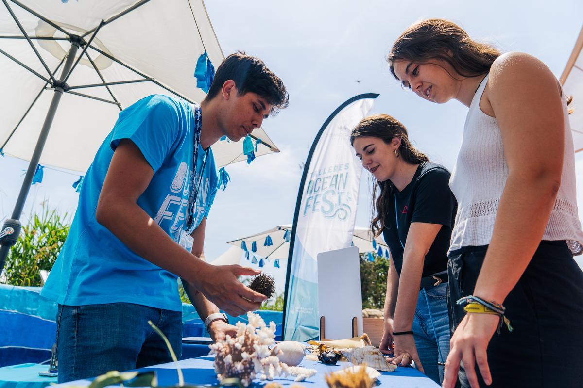 Talleres OceanFest 2024.