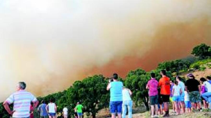 Un incendio obliga a cerrar la carretera del Puerto