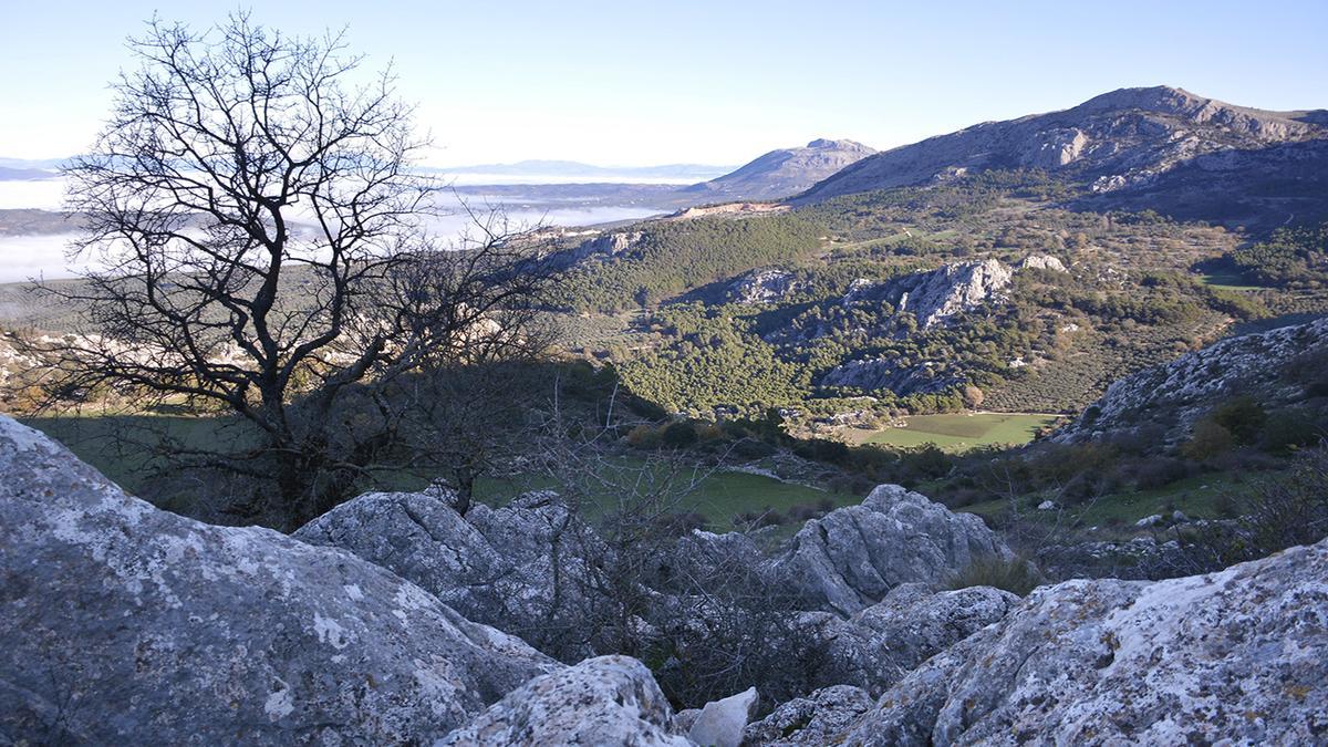 Sendero Pilas del Señorito, la ruta circular de Málaga perfecta para realizar en familia este otoño