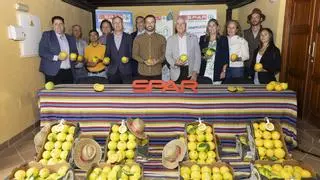 Los agricultores de Telde dan salida a más de 250 toneladas de naranjas de la mano de Spar