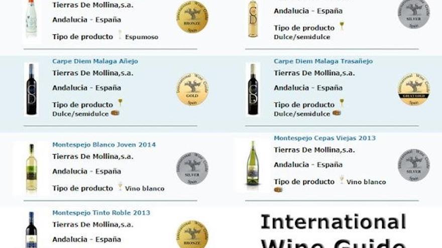 Premio International Wine Guide 2015.