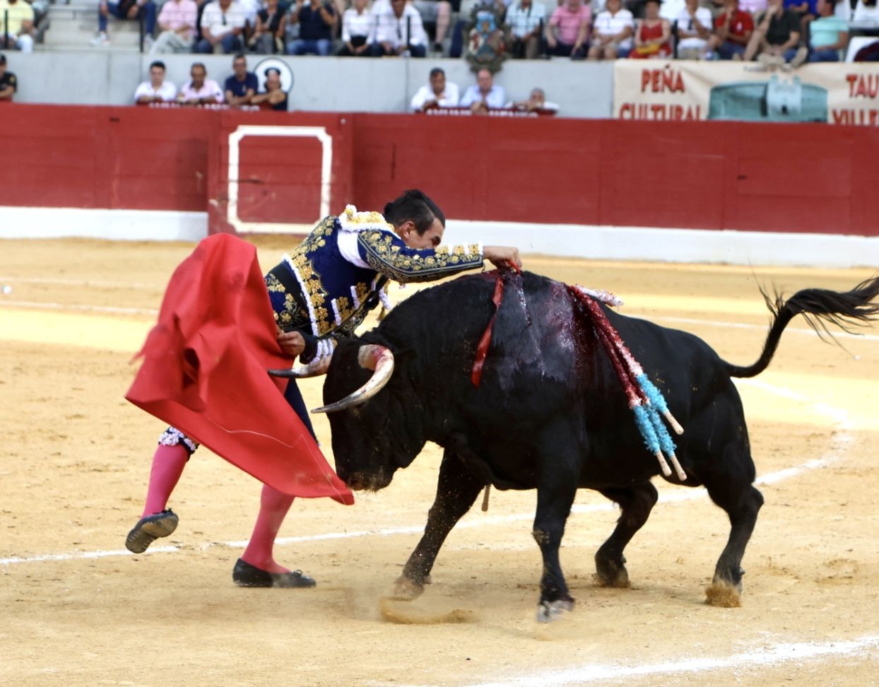 Las imágenes de la vuelta de los toros a la plaza de Villena