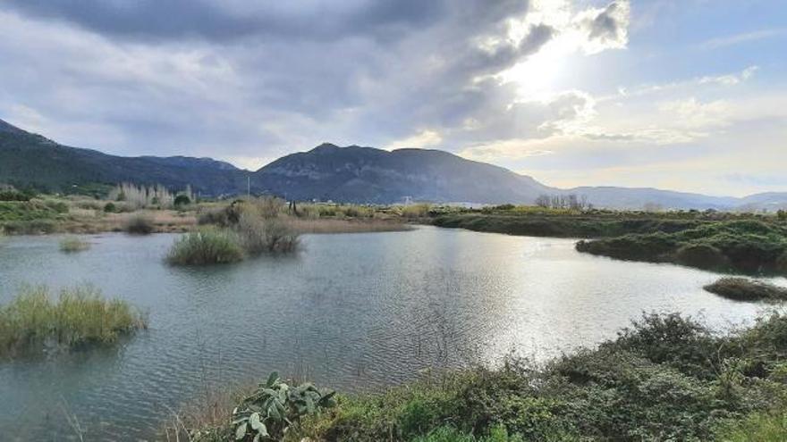 La Generalitat medita proteger un lago surgido de un ataque ambiental