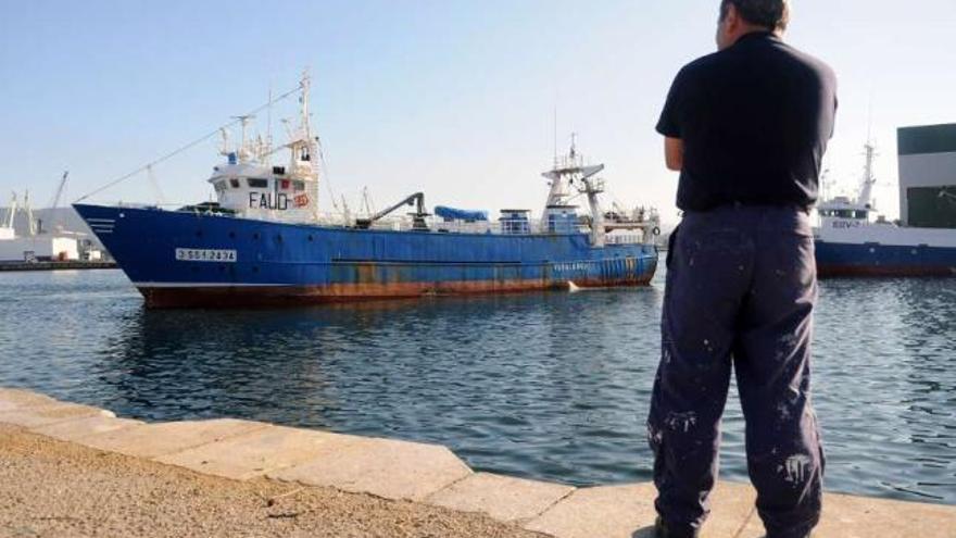 Hasta doce barcos cefalopoderos permanecen amarrados en el puerto de Marín.  // Gustavo Santos