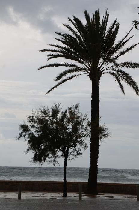 November-Wetter auf Mallorca - den Surfern gefällt's