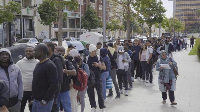 Cues en l’Oficina d’Atenció al Ciutadà per obtenir el certificat de vulnerabilitat. | LUANA C. CARIDAD
