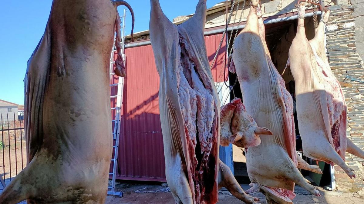 Matanza en un pueblo de Zamora.