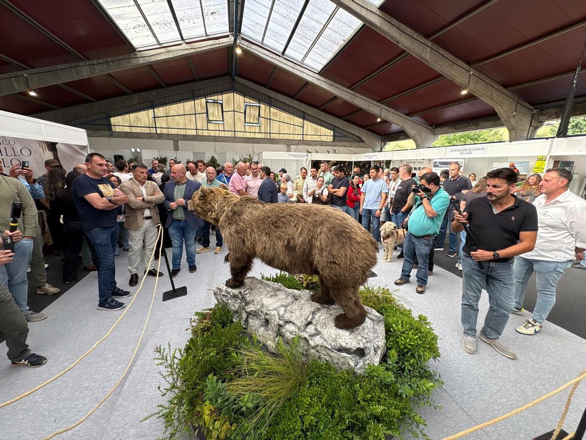 Narcenatur abre sus puertas con la presentación del “oso rubio” y actividades para escolares