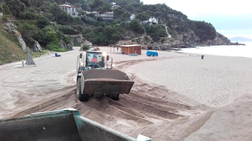 Una excavadora carrega sorra en un camió, aquest dimarts, a sa Riera · Ajuntament de Begur