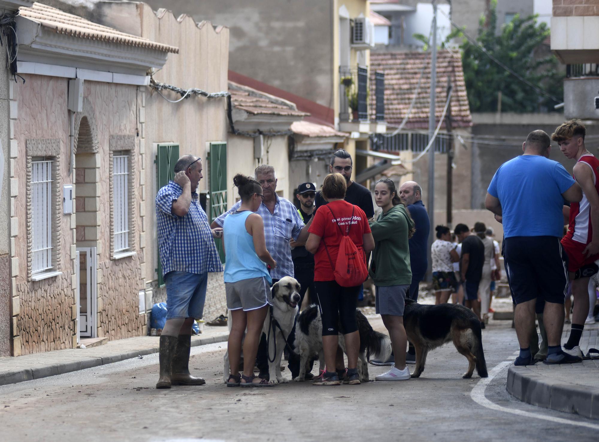 Los estragos del temporal en Javalí Viejo, en imágenes