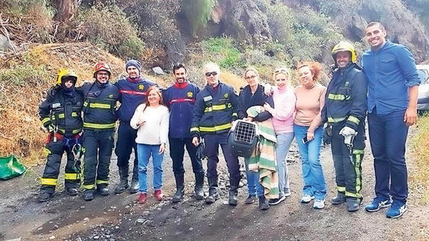 Equipo de bomberos de la capital grancanaria y Telde, voluntarias de protectoras de animales y Abraham Santana.