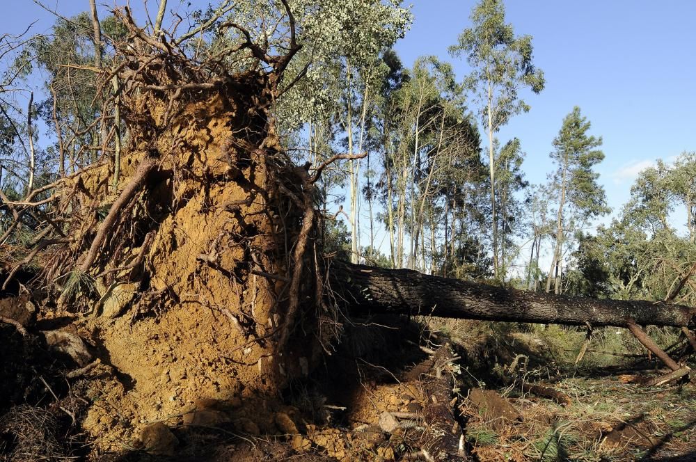 Destrozos en el acceso a la fervenza del río Toxa