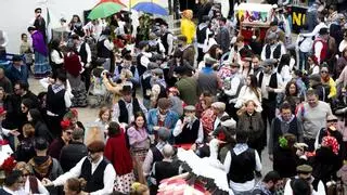 La Pedida de la Patatera de Malpartida de Cáceres a la vuelta de la esquina