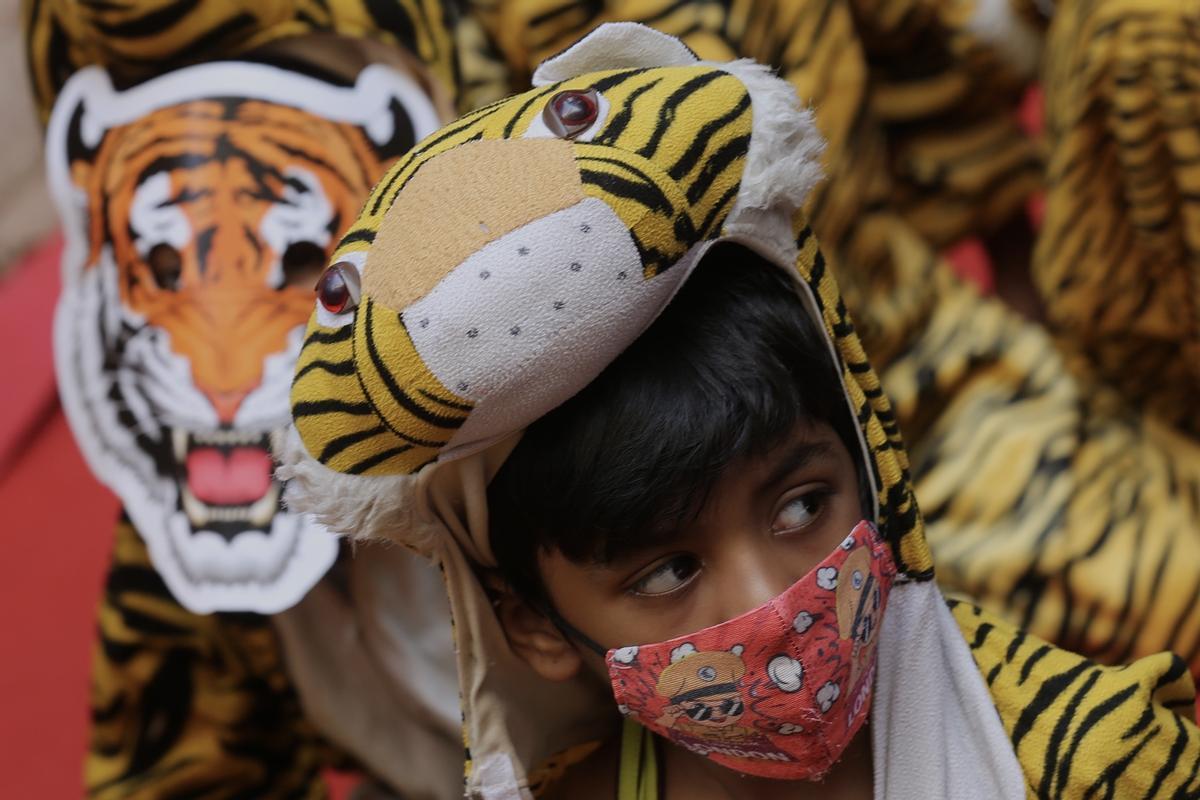 Escolares indios celebran el Día Mundial del Tigre