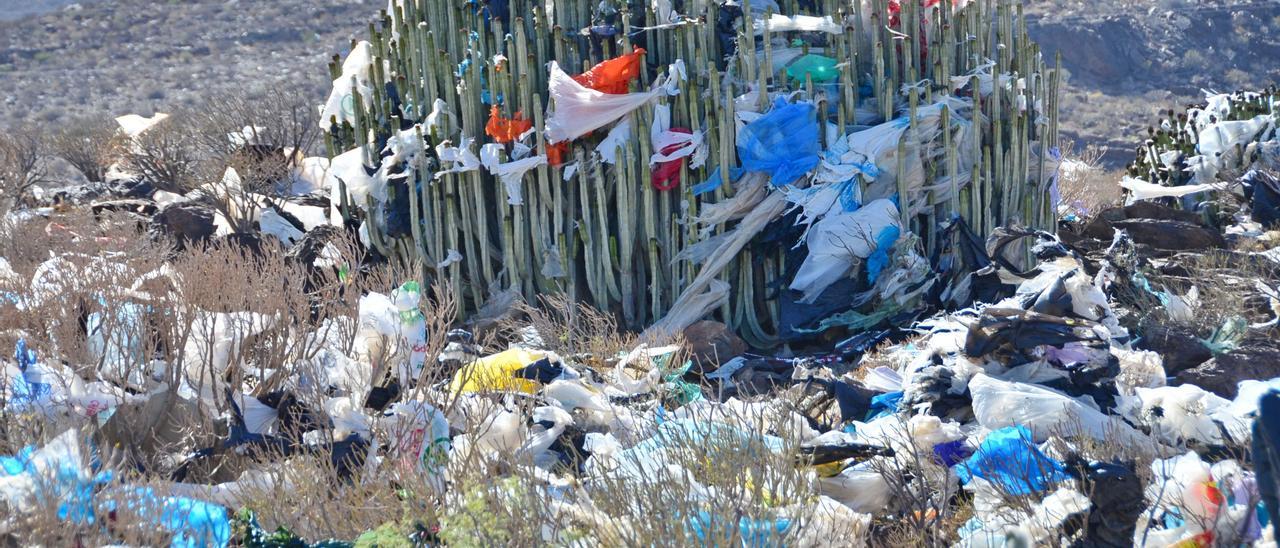 Residuos plásticos en un cardonal de Juan Grande tras un episodio de fuertes vientos en el año 2014.