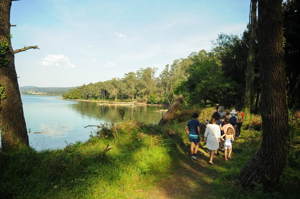 Visitas guiadas a Cortegada