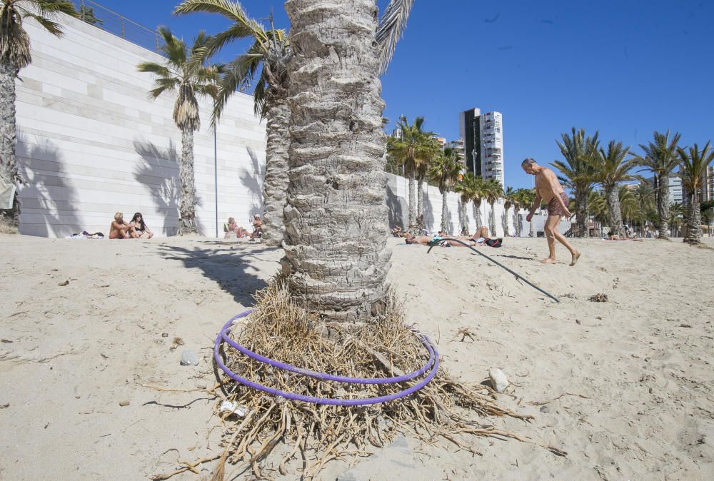 El primer puente festivo del año llena los hoteles y las playas de Alicante