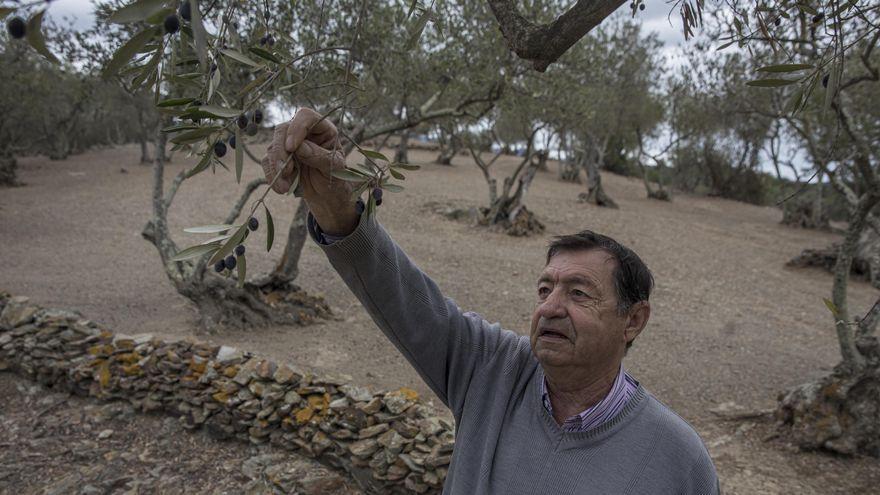 Josep Maria Bonavia, en su finca de l&#039;Espolla (Alt Empordà).