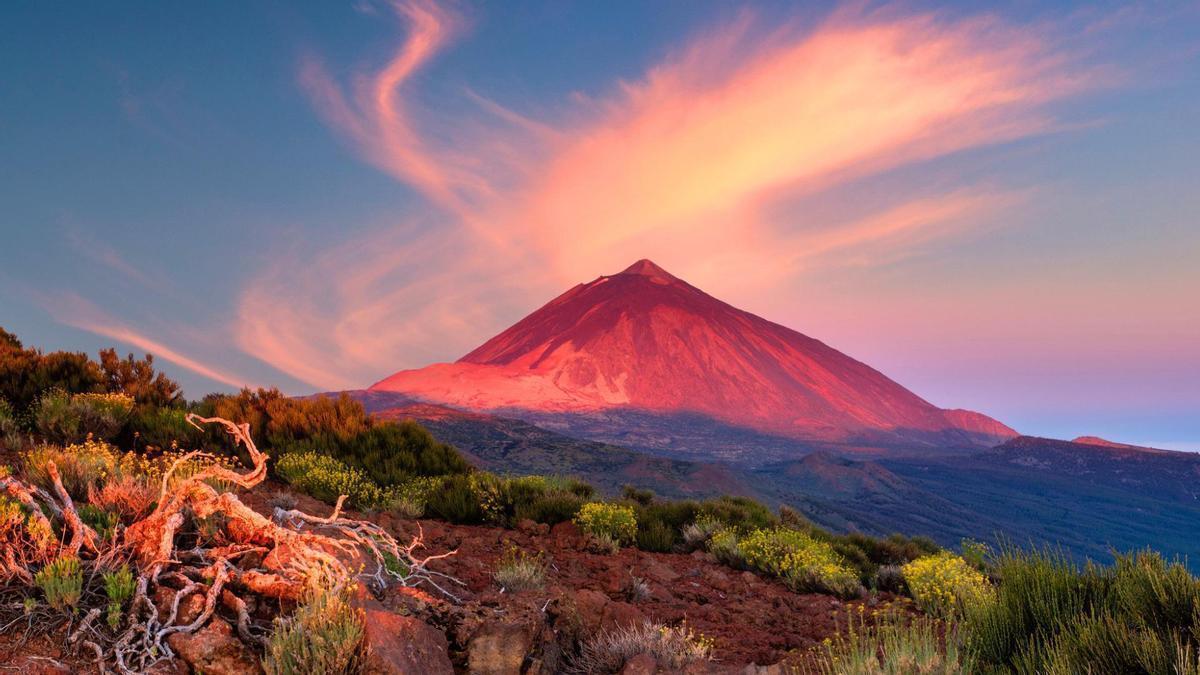 La isla de Tenerife es el hogar de algunos de los productos gastronómicos más curiosos del país.