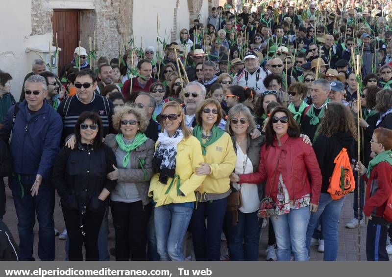 GALERÍA DE FOTOS - Romería Magdalena 2014 (5)