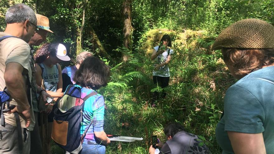 Identificación de flora en las inmediaciones de donde se pretende construir el embalse de Forzáns.