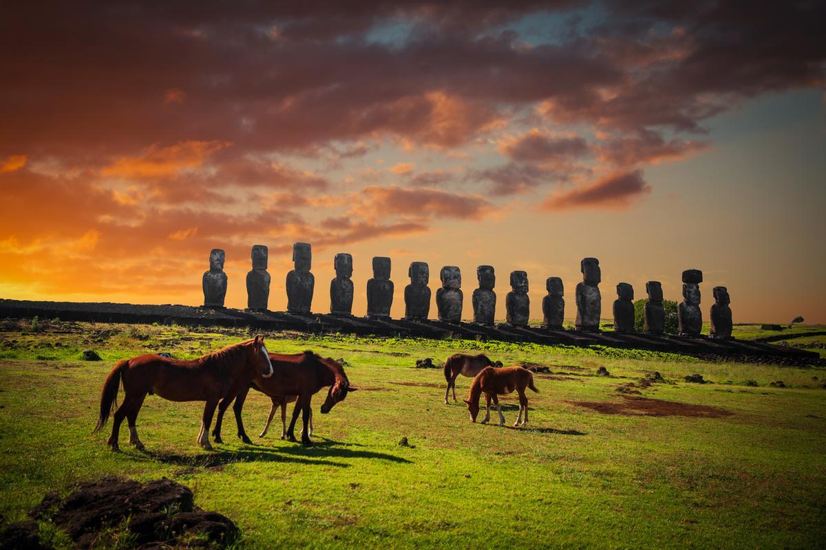 Caballos en la Isla de Pascua.